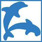Logo der Firma Delfin.NETzwerk