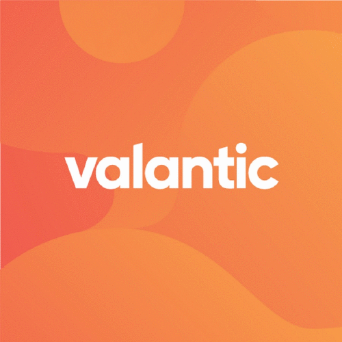 Logo der Firma valantic ERP Services AG