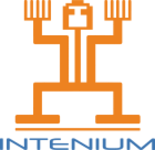 Logo der Firma Intenium GmbH