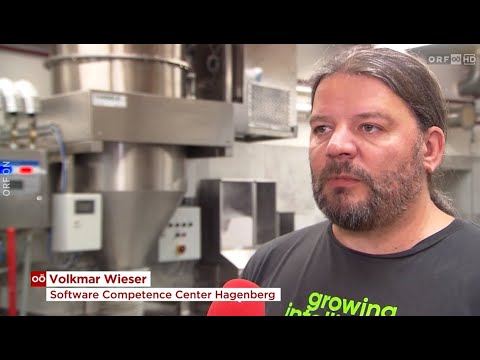 Digitale Lebensmittelrettung