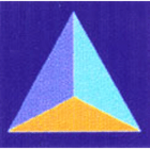 Logo der Firma Software ESCROW International GmbH - S.E.I.