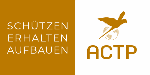 Logo der Firma ACTP e.V. - Association for the Conservation of Threatened Parrots e.V.