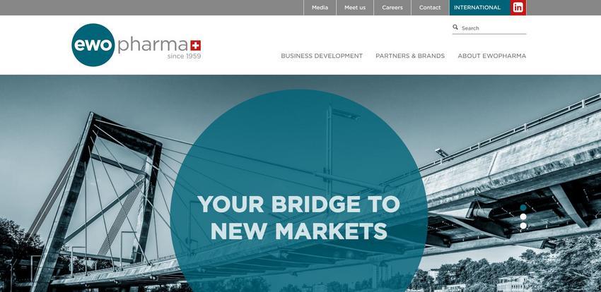 Website Promotion