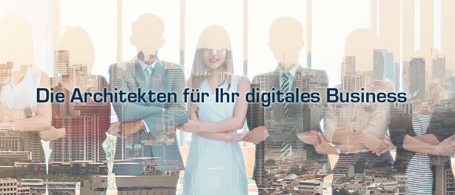 Cover image of company BLUE Consult GmbH