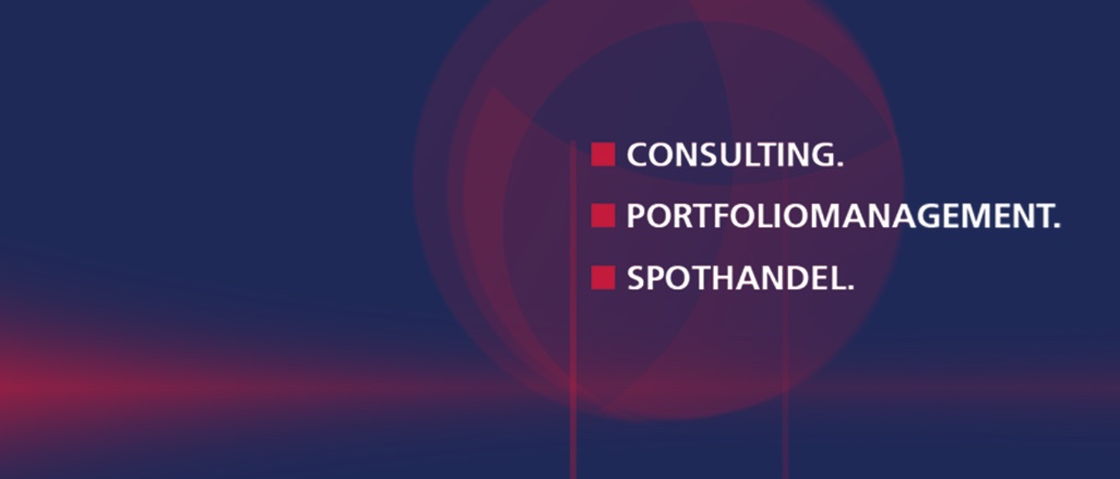 Cover image of company FSE Portfolio Management GmbH
