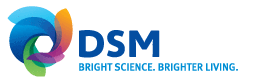 Logo der Firma DSM Deutschland Sales Offices GmbH