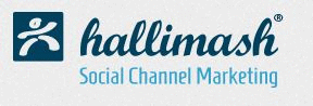 Logo der Firma hallimash GmbH