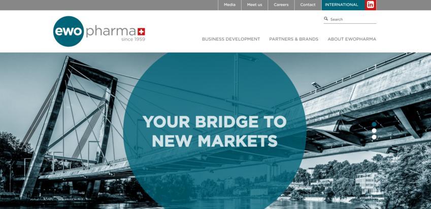 Website Promotion