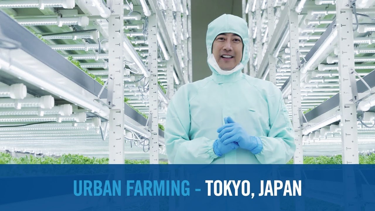 Shaping Smarter Cities – Tokyo, Japan