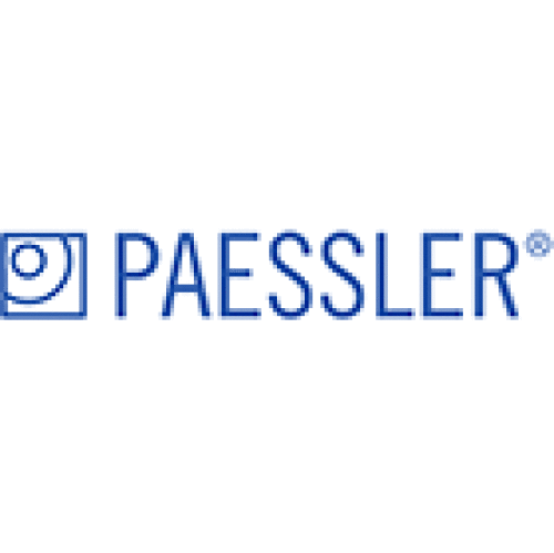 Logo der Firma Paessler AG