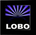 Logo der Firma LOBO® electronic GmbH