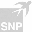 Logo der Firma SNP Schneider-Neureither & Partner AG