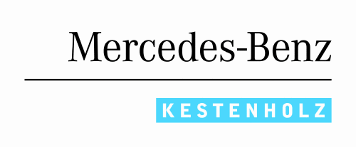 Logo der Firma Kestenholz Holding AG