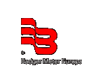Logo der Firma Badger Meter Europa GmbH