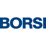 Logo der Firma BORSI GmbH & Co KG