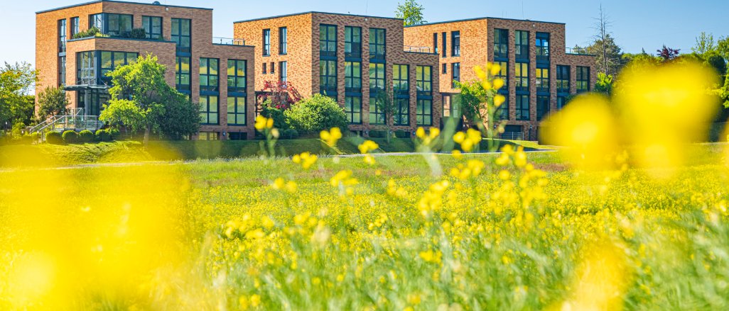 Titelbild der Firma sitaas GmbH