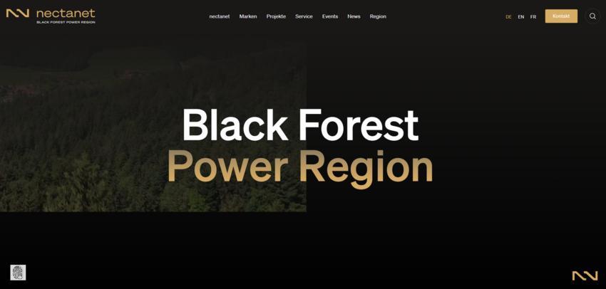 Website Promotion