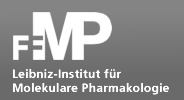 Logo der Firma Leibniz-Institut für Molekulare Pharmakologie im Forschungsverbund Berlin e.V. (FMP)