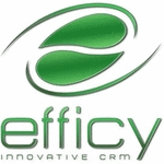 Logo der Firma EFFICY N.V