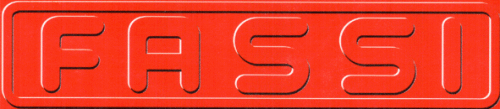 Logo der Firma FASSI Deutschland GmbH