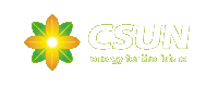 Logo der Firma China Sunergy Europe GmbH