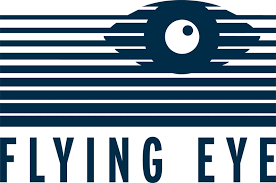 Logo der Firma Flying Eye Managementberatung für Medieninvestitionen GmbH