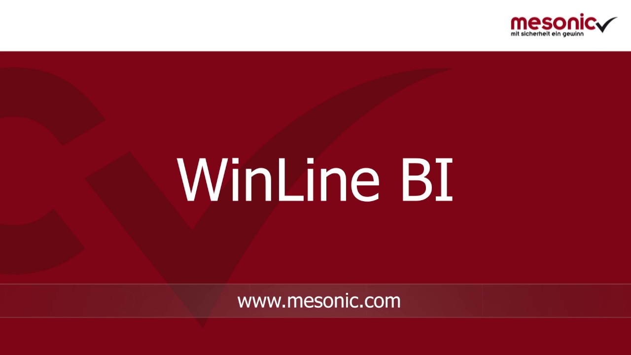 Kurzvorstellung des Business Intelligence-Tools WinLine BI