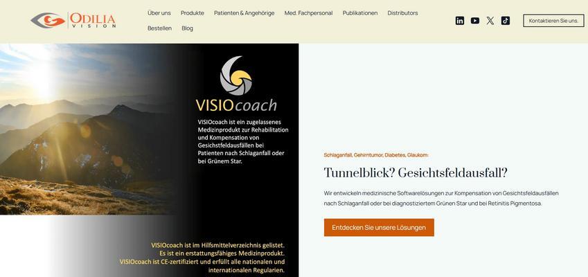 Website Promotion