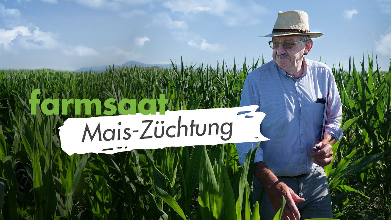 farmsaat Mais-Züchtung in Osterhofen mit Ludwig Feldmeier | farmsaat