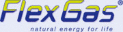 Company logo of FlexGas GmbH