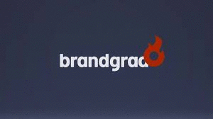 Logo der Firma Brandgrad° GmbH