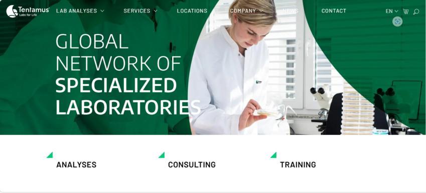 Website Promotion
