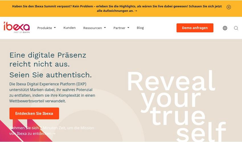 Website Promotion