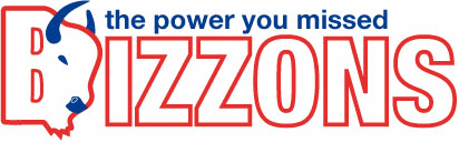 Logo der Firma Bizzons eMarketing GmbH
