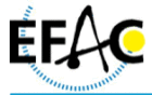 Logo der Firma EFAC - European Factory Automation Committee c /o VDMA