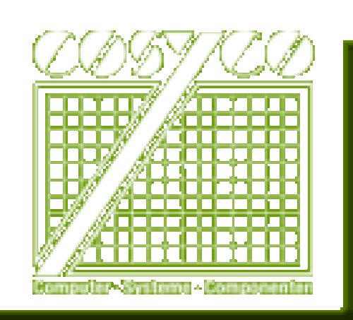 Logo der Firma COSYCO GmbH