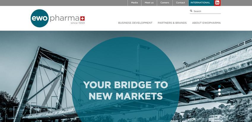 Website Promotion