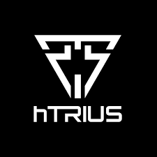Logo der Firma hTRIUS GmbH