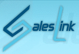 Logo der Firma Saleslink GmbH