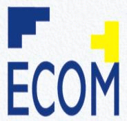 Logo der Firma ECOM Electronic Components Trading GmbH/Captiva GmbH