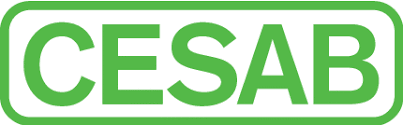 Company logo of CESAB MATERIAL HANDLING DEUTSCHLAND