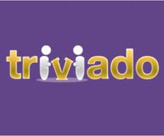 Logo der Firma Triviado GmbH