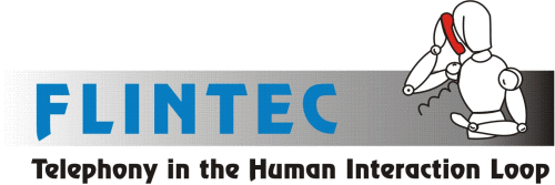 Logo der Firma FLINTEC Informations-Technologien GmbH