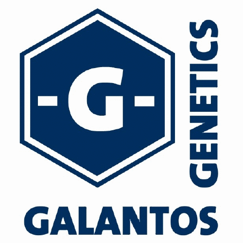 Logo der Firma Galantos Genetics GmbH