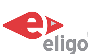 Logo der Firma ELIGO Psychologische Personalsoftware GmbH