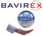 Logo der Firma Bavirex GmbH