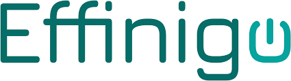 Logo der Firma Effinigo GmbH