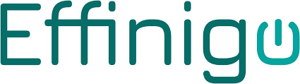 Company logo of Effinigo GmbH