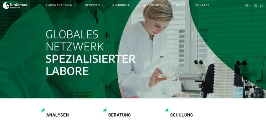 Website Promotion