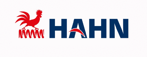 Logo der Firma Gebrüder Hahn GmbH